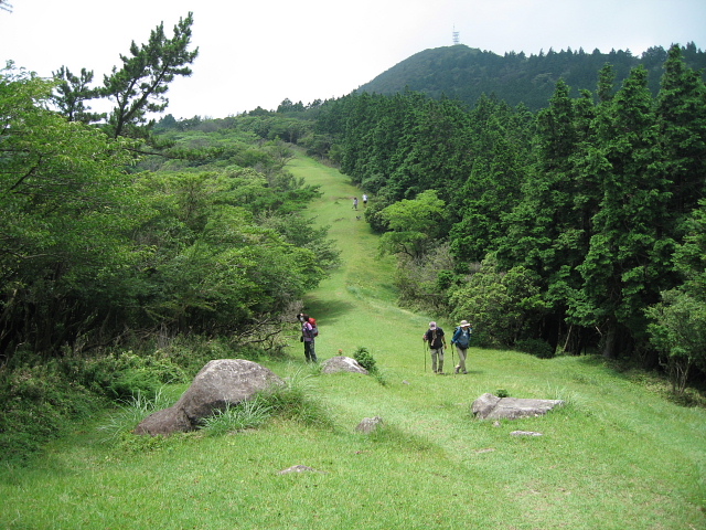 達磨山