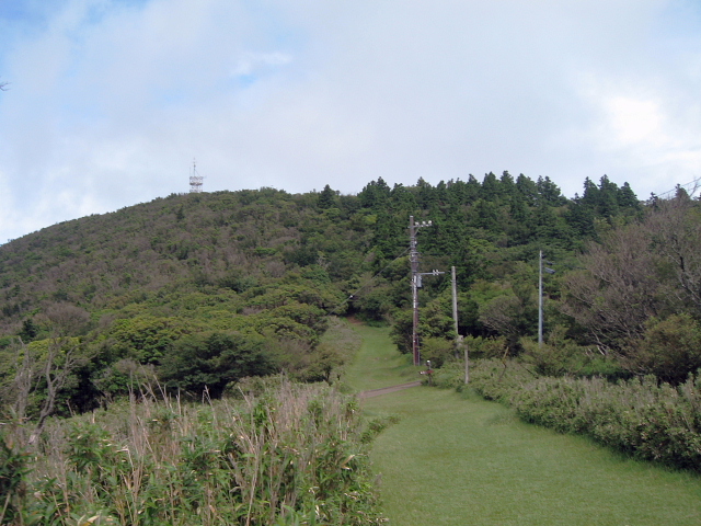 達磨山