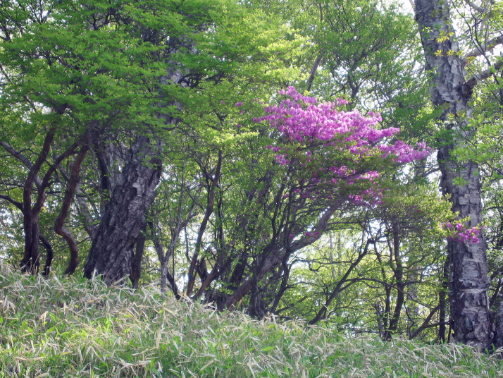 男体山