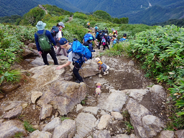 谷川岳