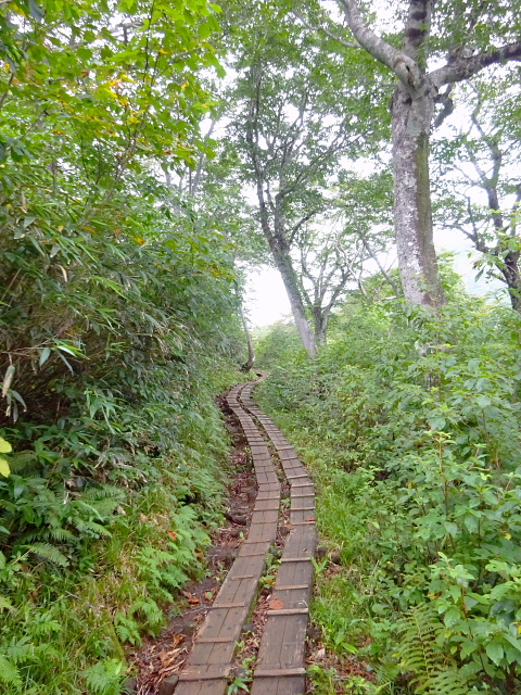 谷川岳