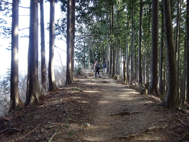 高水三山