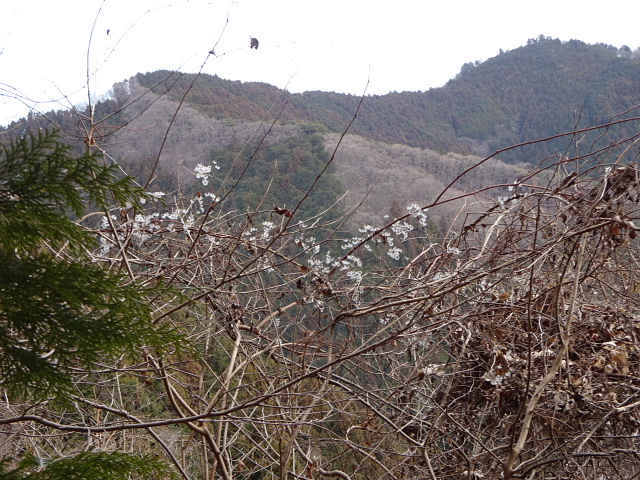 高水三山