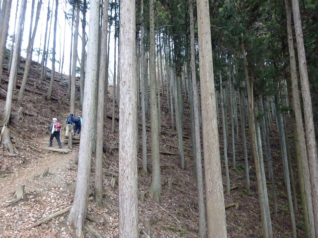 高水三山