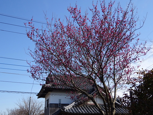 宝峡山