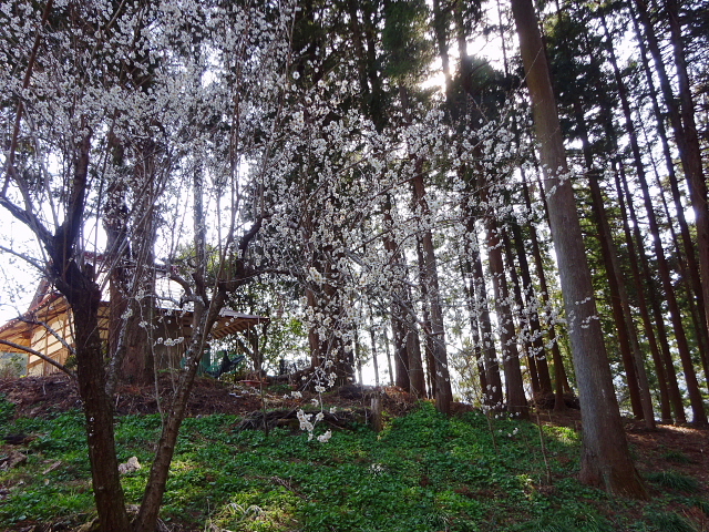 堂平山