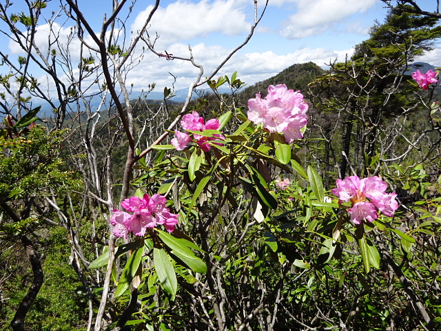 袈裟丸山