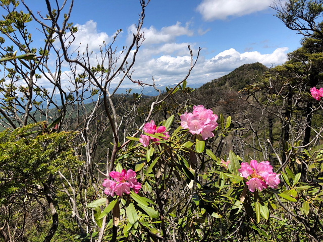 袈裟丸山