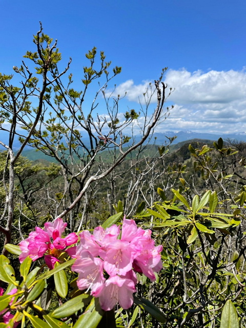 袈裟丸山