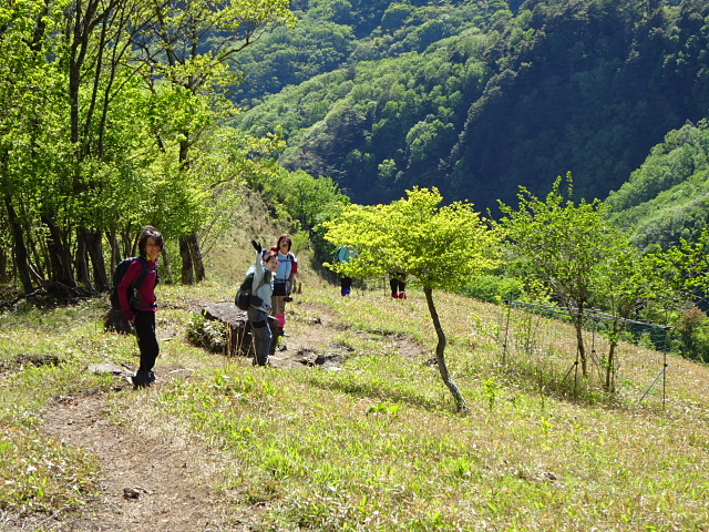 袈裟丸山