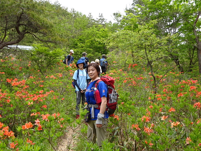 鉢伏山