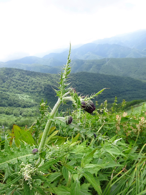 平標山