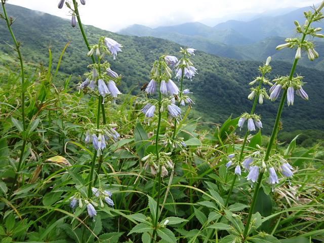 平標山