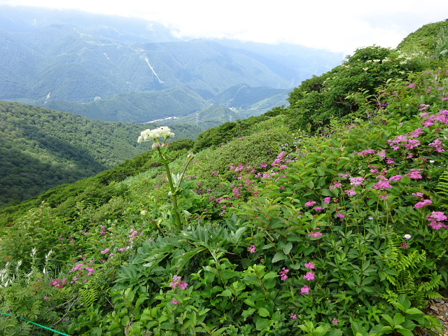 平標山