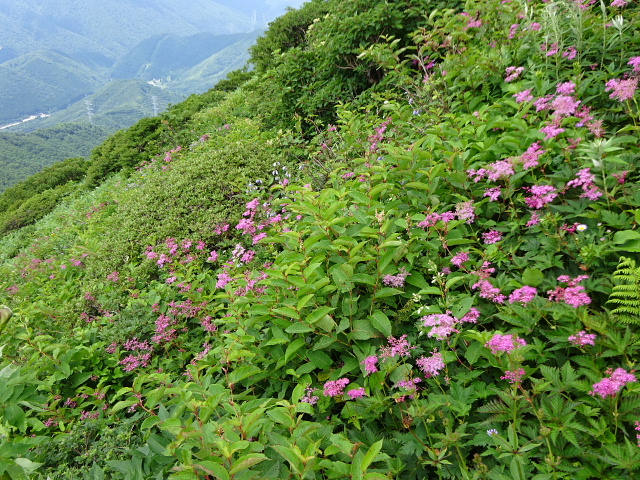 平標山