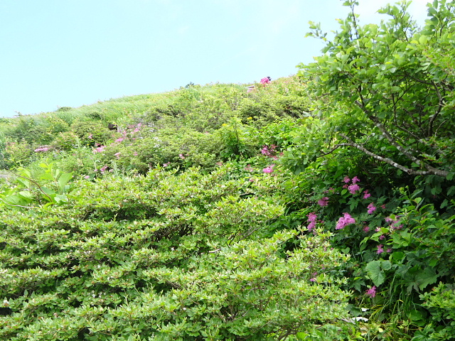 平標山