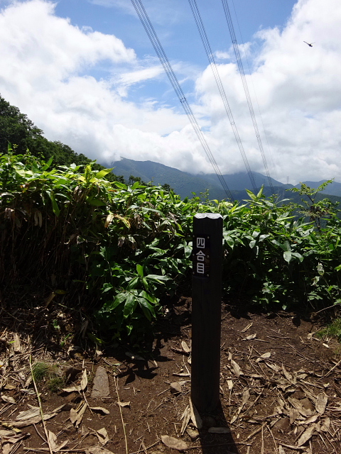 平標山