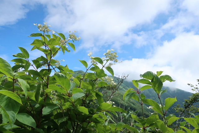 平標山