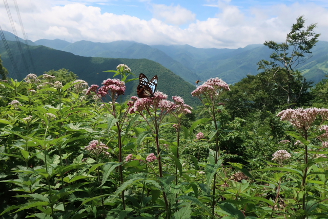 平標山