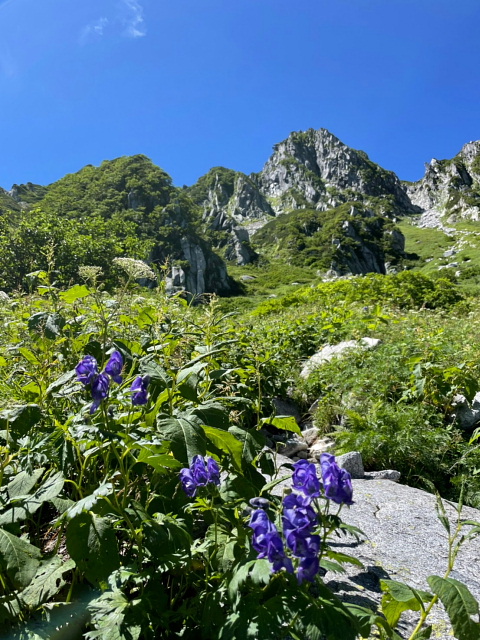 木曽駒ケ岳