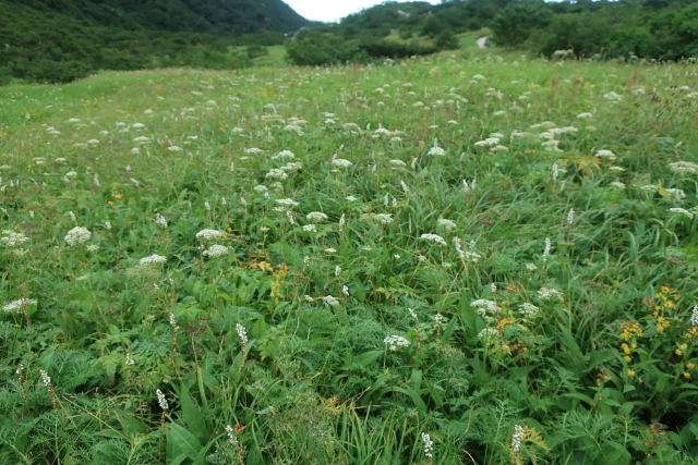 木曽駒ケ岳