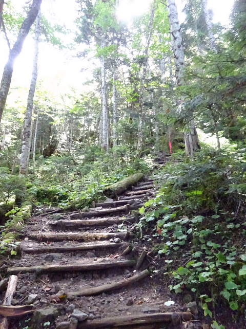 日光白根山