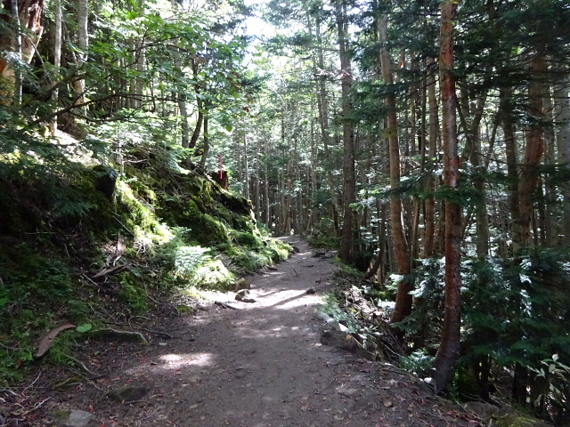 日光白根山