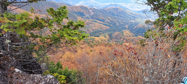 小楢山