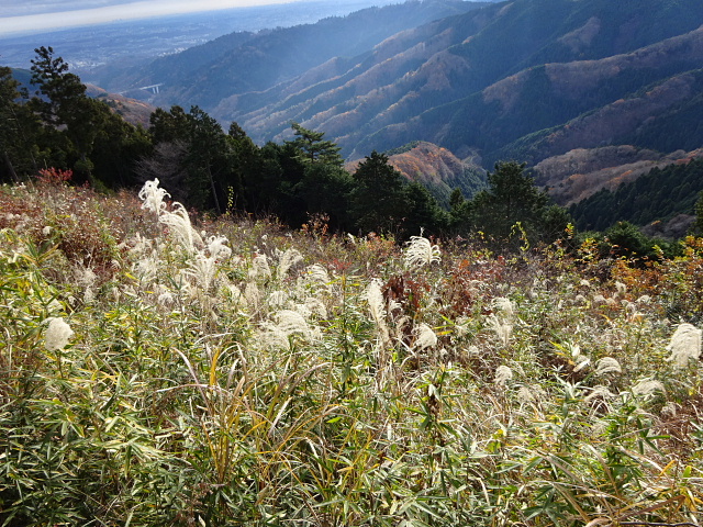 景信山