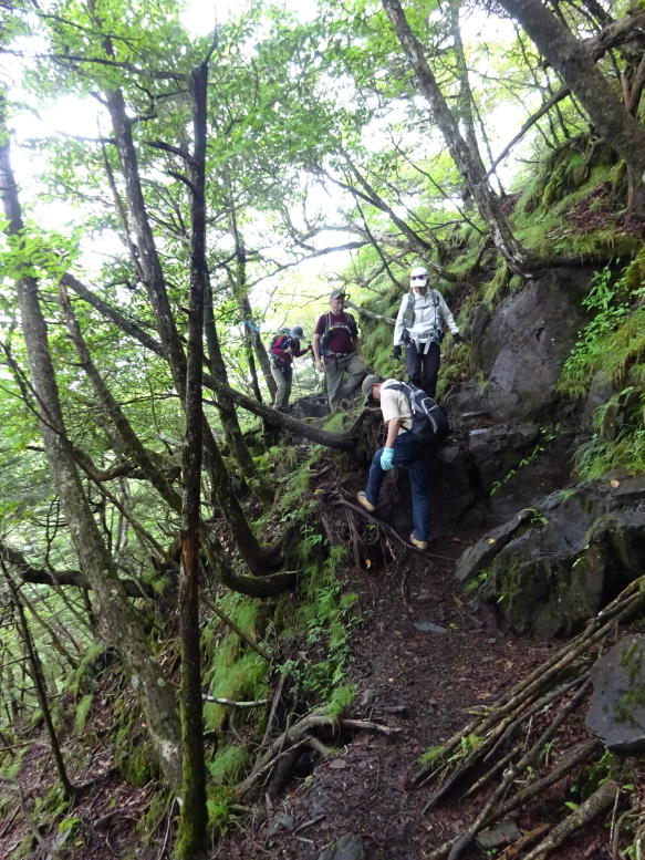 牛奥ノ雁ケ腹摺山