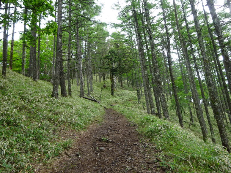 牛奥ノ雁ケ腹摺山