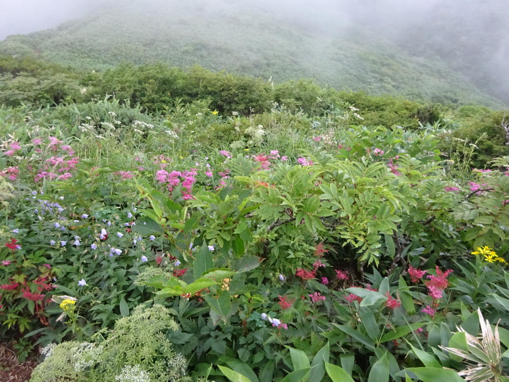 苗場山