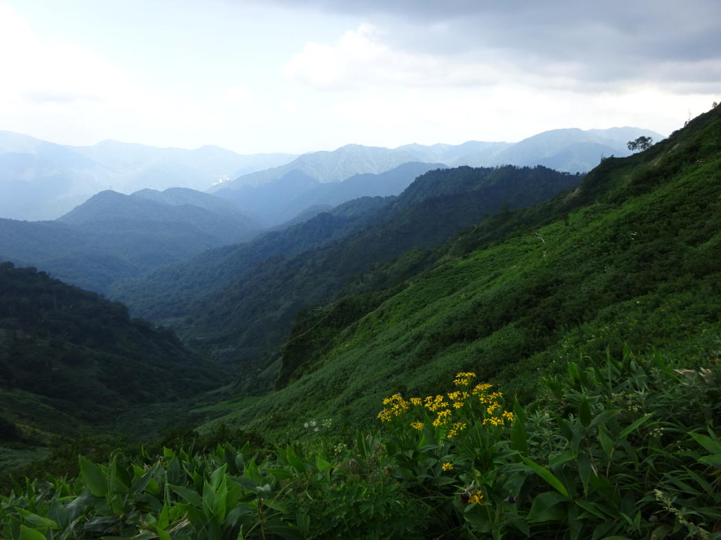 苗場山