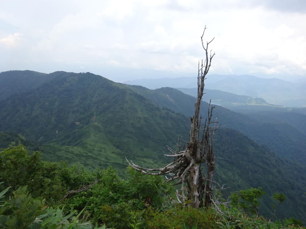 苗場山