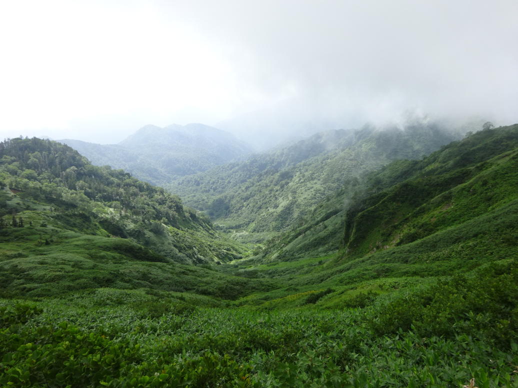 苗場山