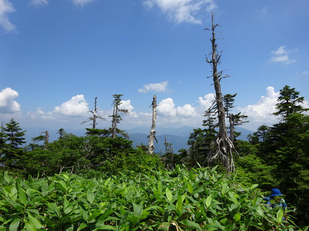 苗場山