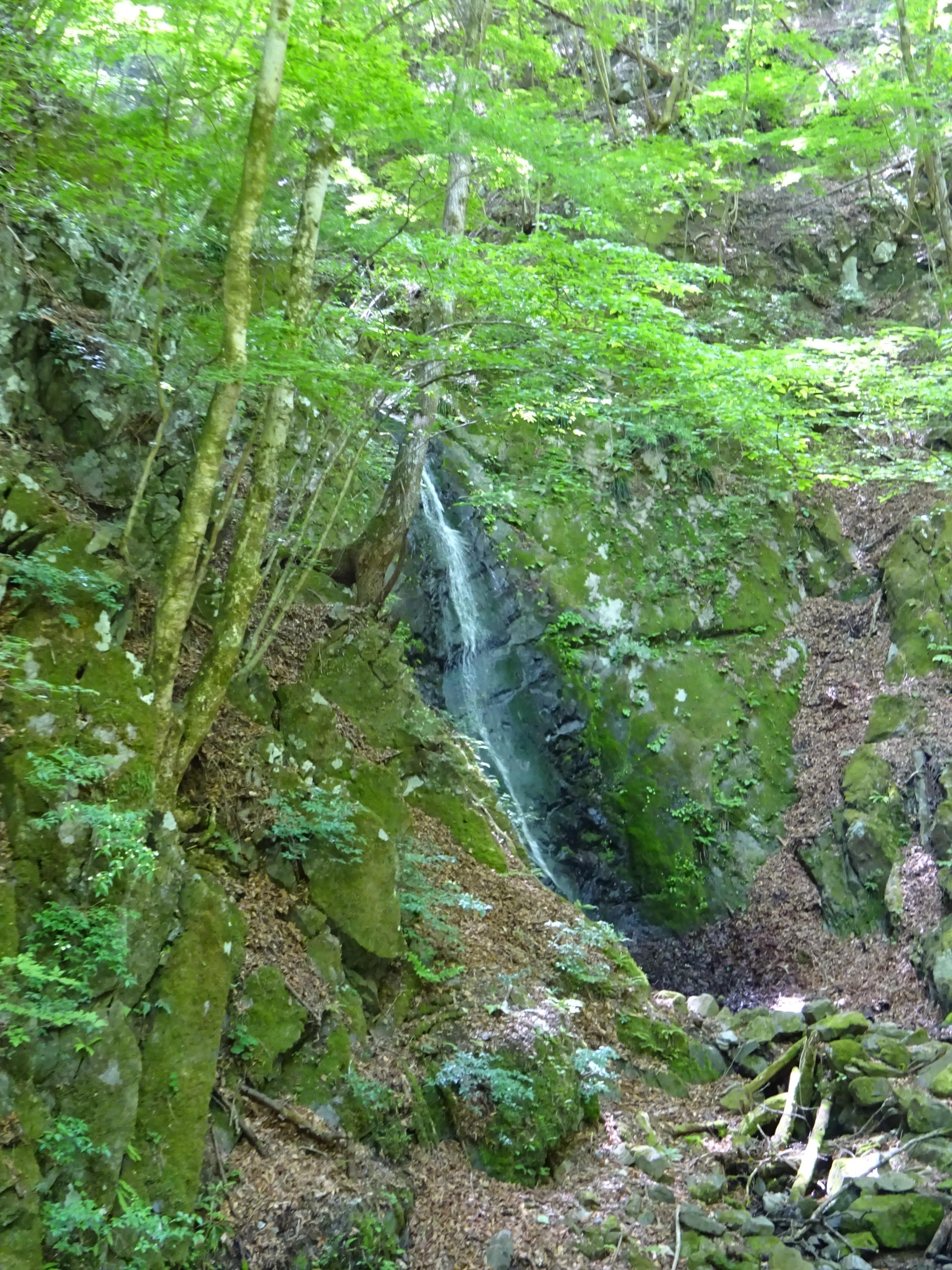 川苔山