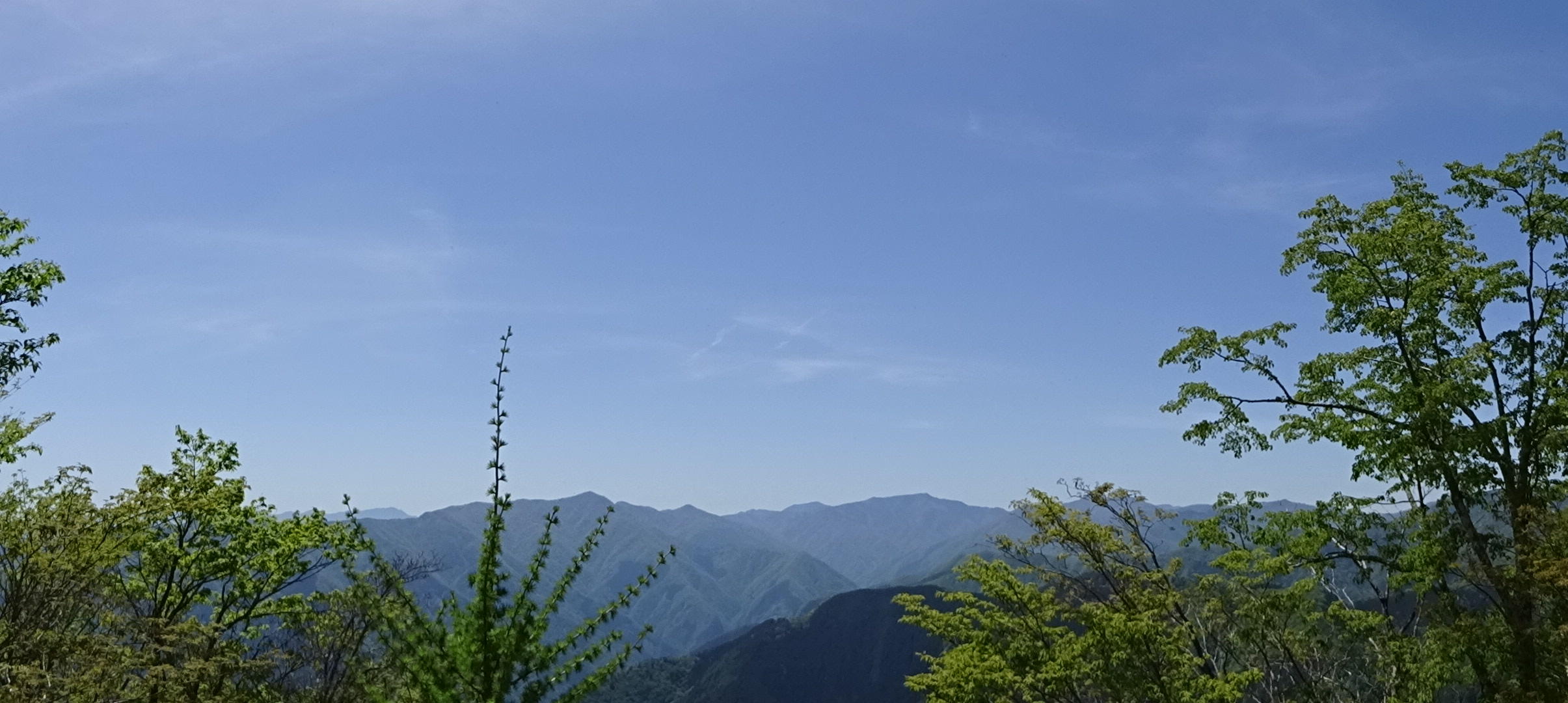 川苔山