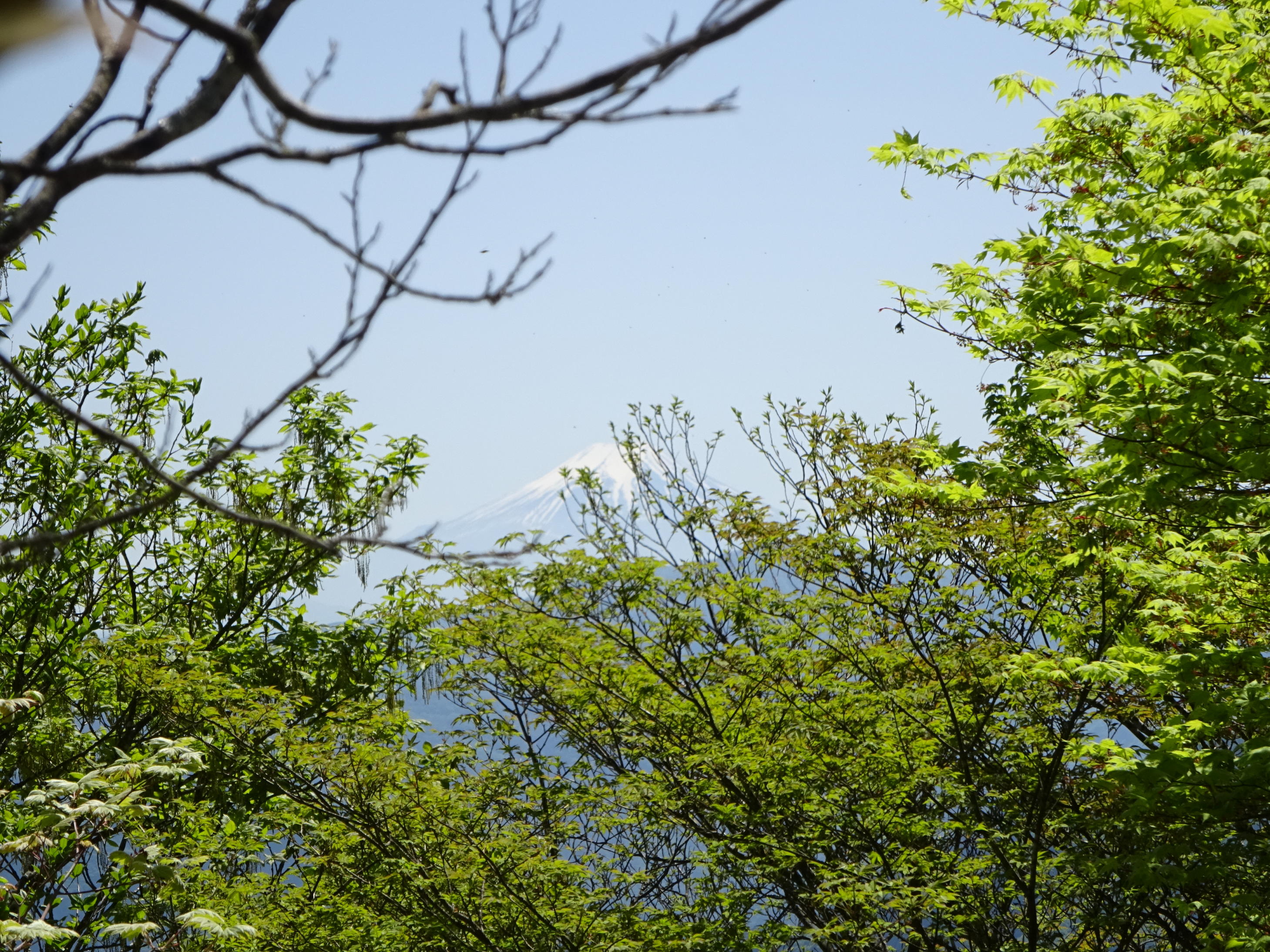 川苔山