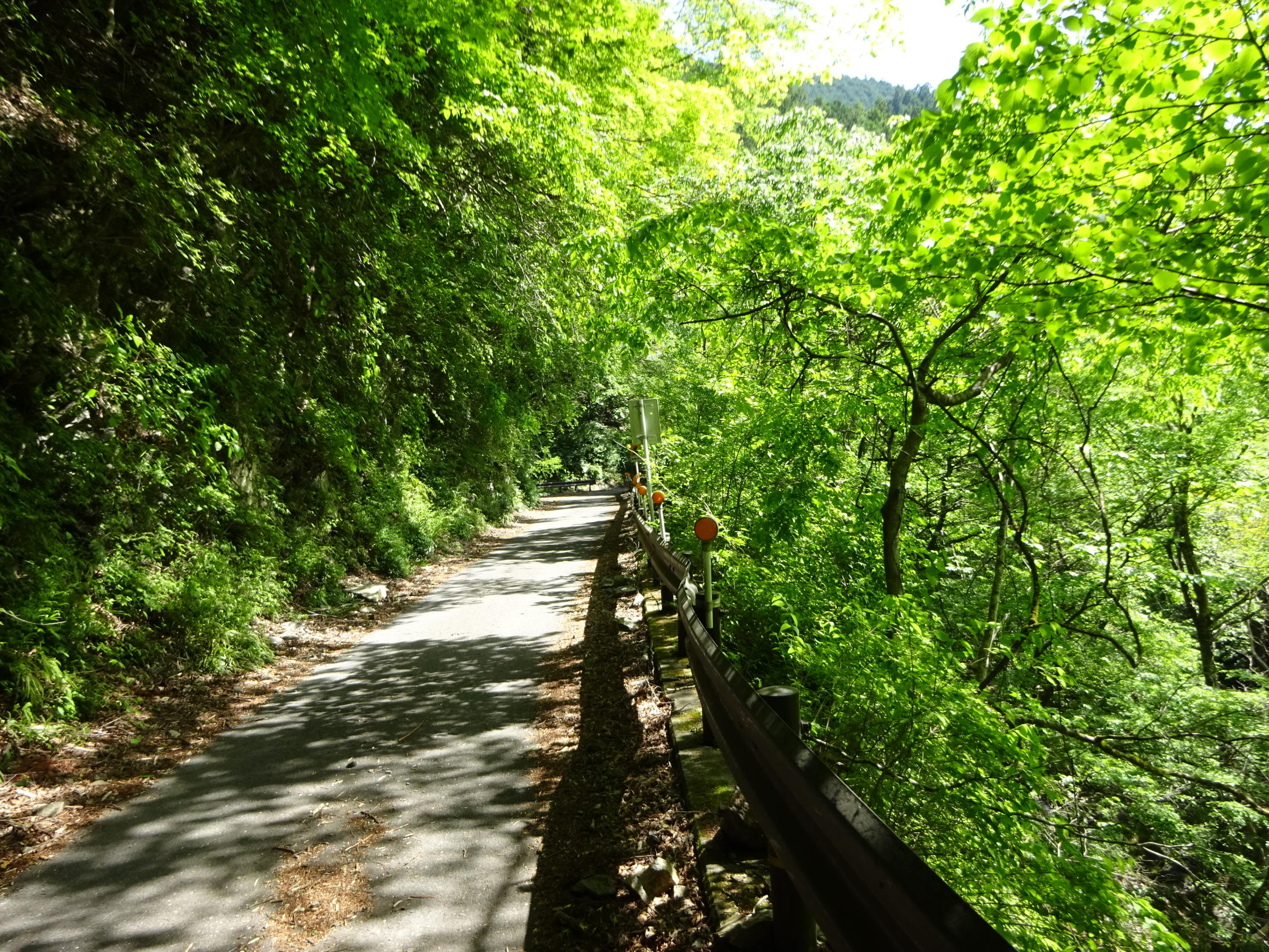 川苔山