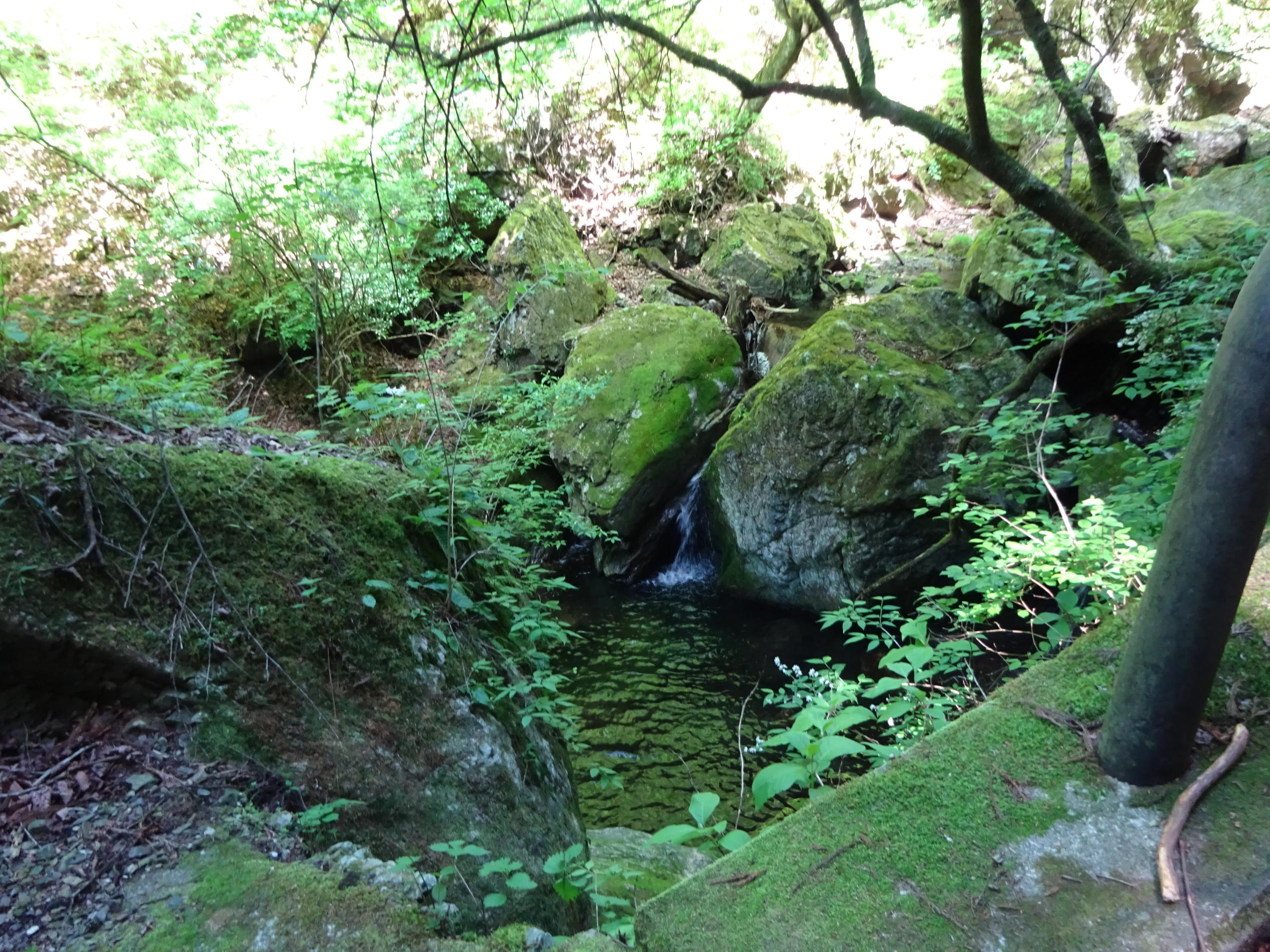 川苔山