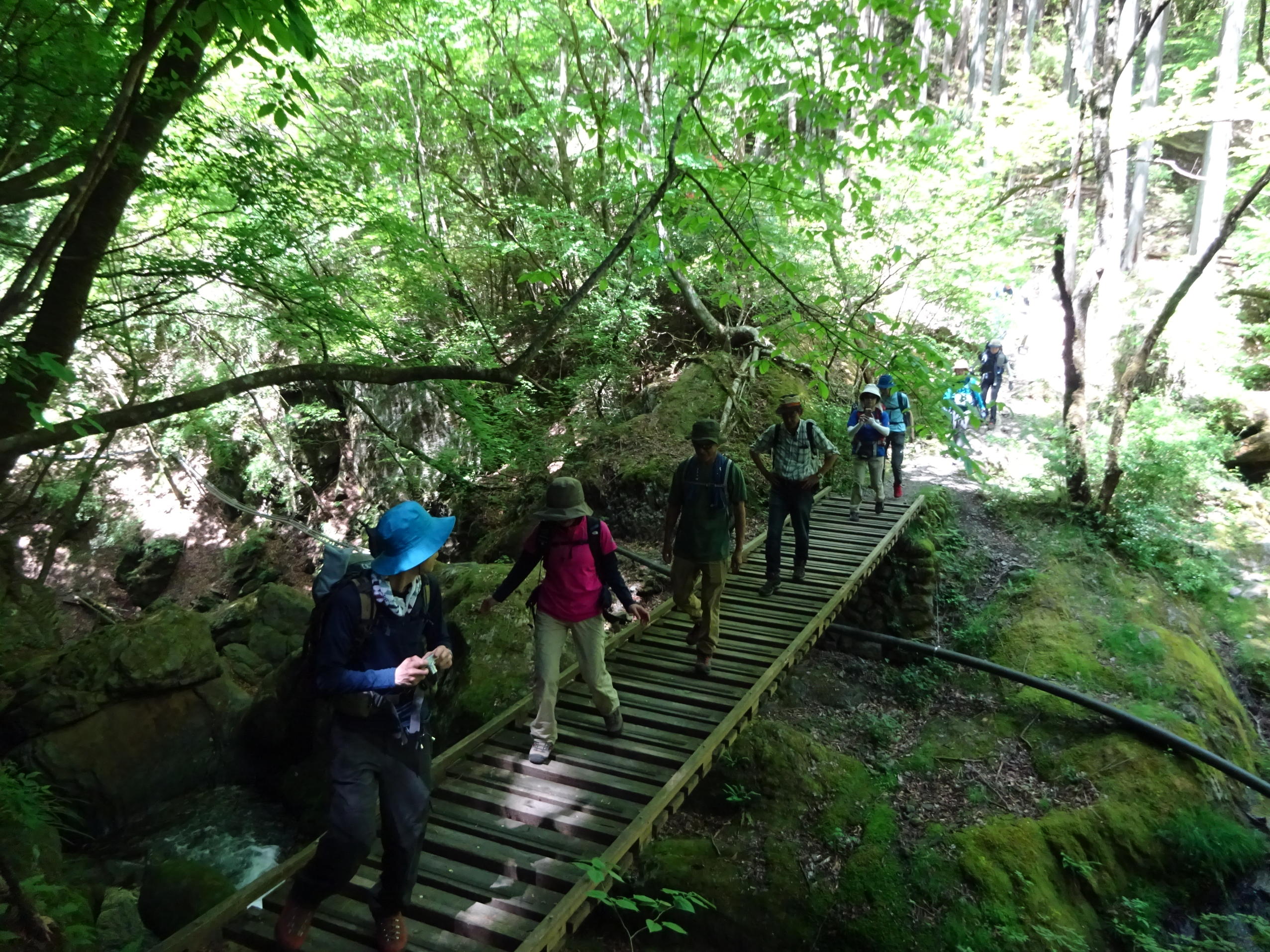 川苔山