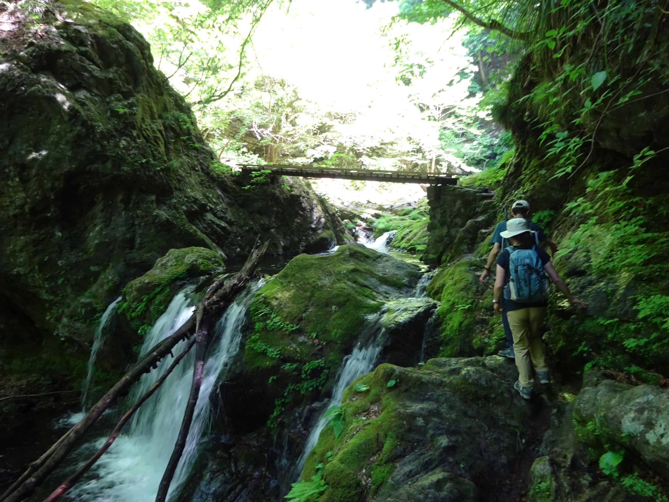 川苔山