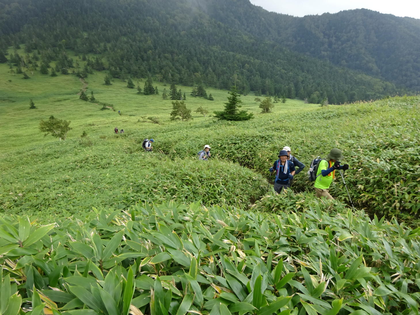 四阿山