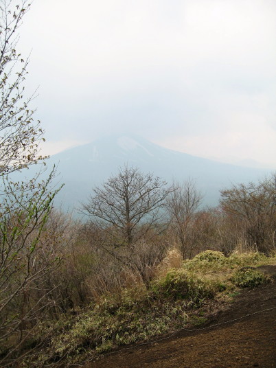 鼻曲山