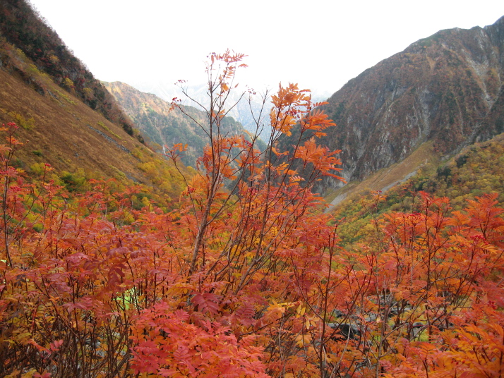 奥穂高岳