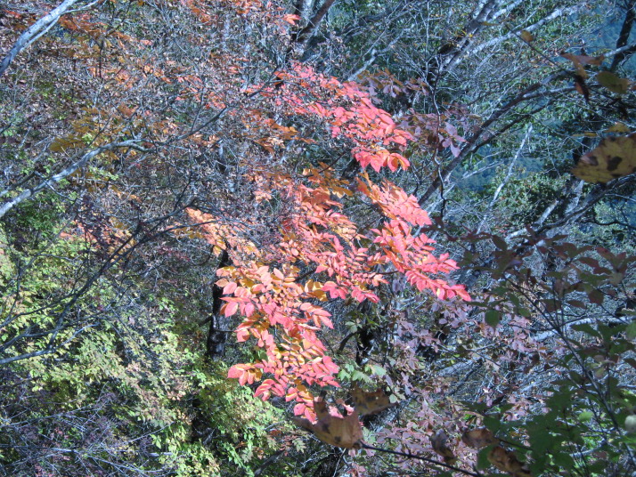 茅ケ岳