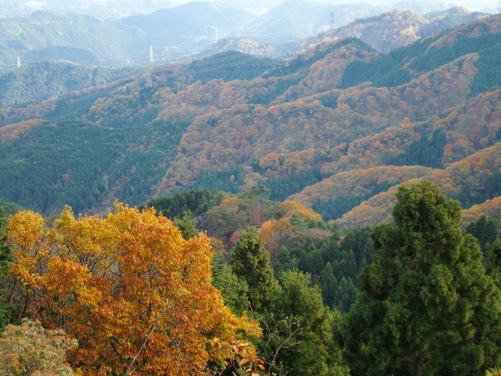 日の出山