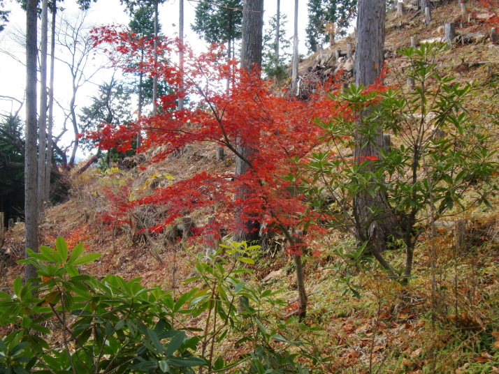 日の出山