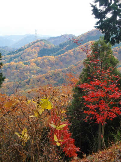 日の出山